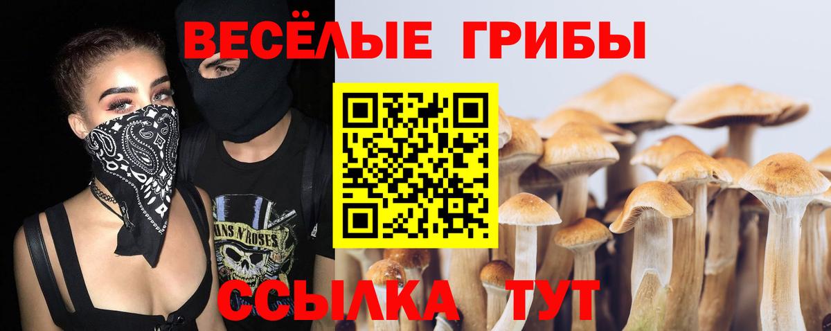 Галлюциногенные грибы мухоморы  Галлюциногенные грибы Magic Shrooms  хочу наркоту  Вход с VPN  Вятские Поляны 